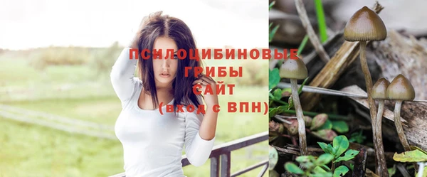 прущая мука Россошь
