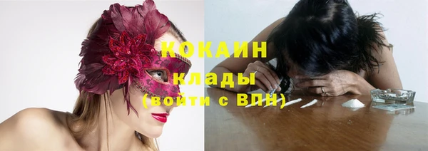 прущие крисы Рославль
