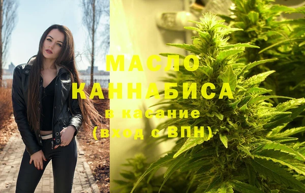 сатива Дубовка